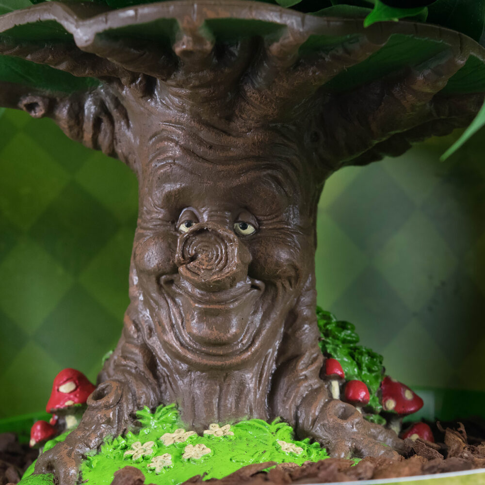 Ficus Green Kinky Sprookjesboom - Afbeelding 9